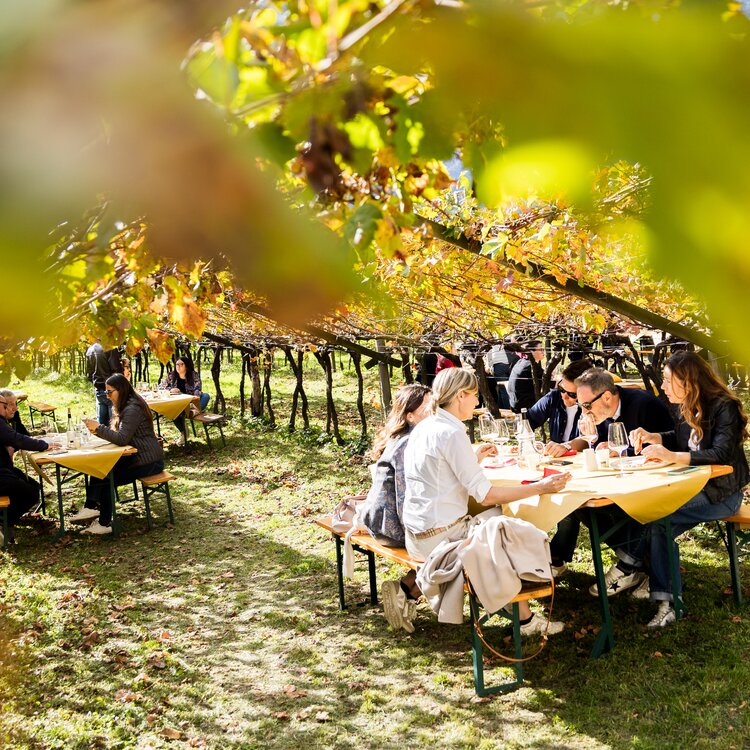 Incontri Rotaliani 2 Weber 54