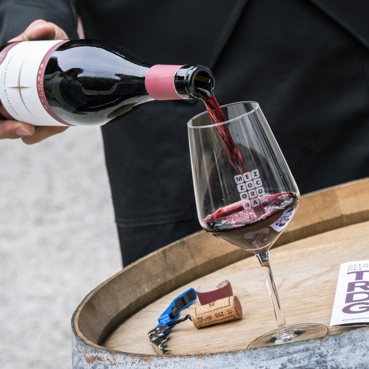 Mostra Del Teroldego   ProLoco Mezzocorona (4)