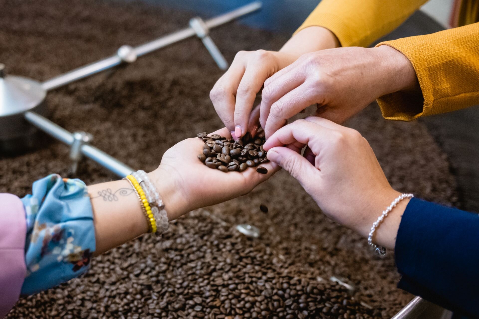 Guida ai sapori della Rotaliana Königsberg: 10 prodotti da assaporare