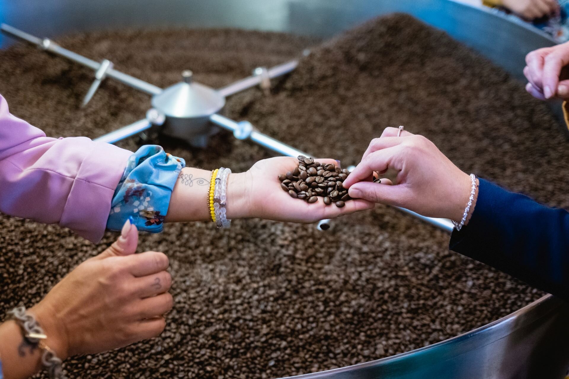 2022.09.23 Adler Caffè   Ph. Nicola Cagol (1)