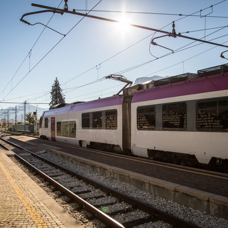 Train
