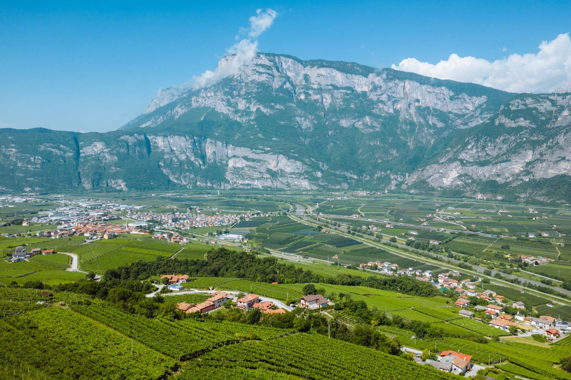 2022 06 23 Colline Avisiane   Ph. Nicola Cagol (5)