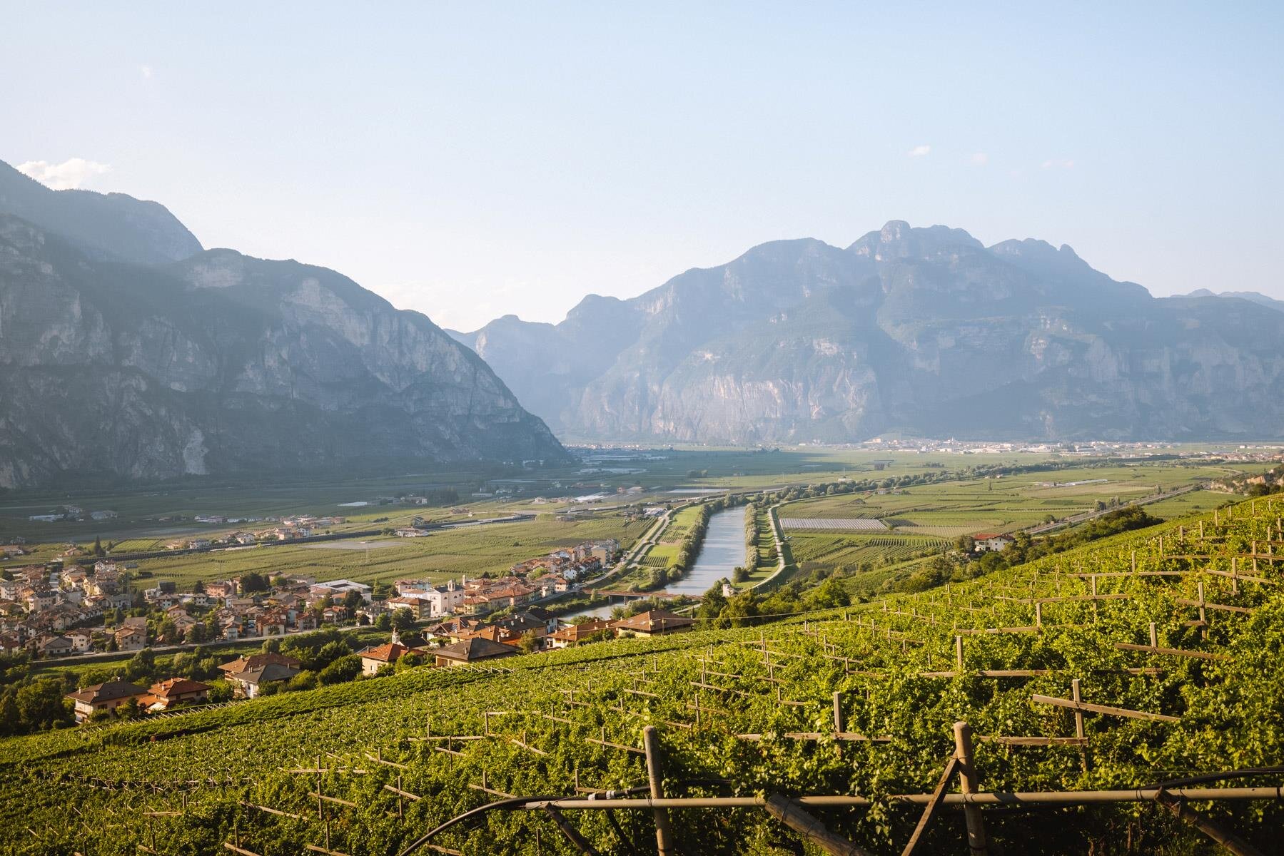 Piana Rotaliana Königsberg   Ph. Nicola Cagol