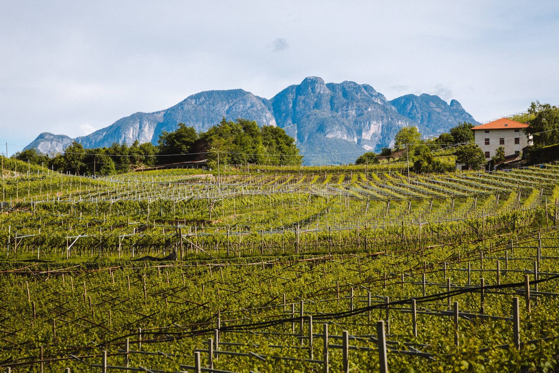 2021 Klinger   Ph. Nicola Cagol (1)